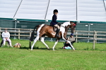 SBM_11584