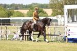 SBM_18579