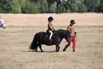 WJ6_7390