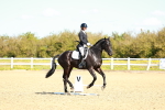 SBM_000233