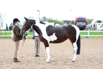 SBM_00274