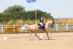 SBM_005048