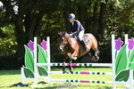 Sunday 23rd Newberry Arena portfolio