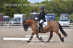 BPP_6192
