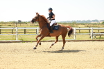 SBM_000968