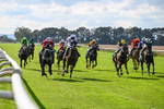 140926-Race 4-Lamlash Bay-7218