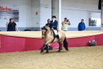 SBM_23784