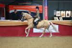 SBM_09789