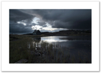 Innominate ♦ PERTHSHIRE