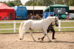 SBM_04587