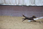 SBM_004473