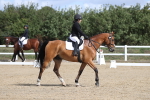 SBM_001365