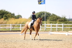 SBM_006584