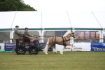 SBM_05623