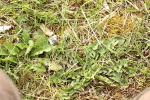 SBM_002236
