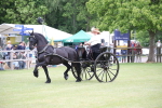 SBM_05802