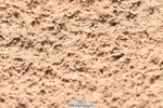 230810A-132552-01153