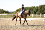 SBM_007683