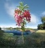La fleur de Garonne