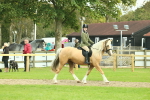 SBM_62646