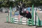 North Showjumping_2016-72