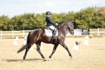 SBM_008775