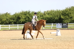 SBM_007511