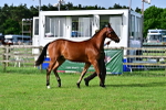 SBM_00081