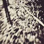 Twisted