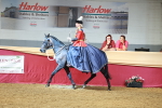 Class 107 - Ridden Costume - Astride Adult  (20+) portfolio