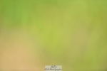 240523B-115552-02119