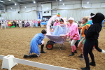 SBM_007984