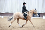 SBM_000324