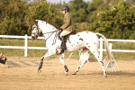 SBM_04094