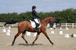 SBM_020879