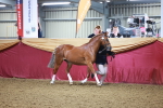 SBM_14667