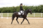 SBM_002037