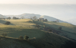 4678 Todleth Hill and Cowlton