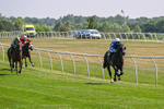 Race 2 14.40pm EBF Restricted Novice Stakes portfolio