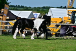 SBM_10086