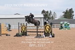 BPP_3217