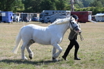 WJ6_4544
