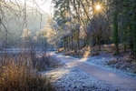Morning Frost at Mallards Pike