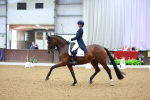 SBM_006937