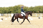 SBM_003723