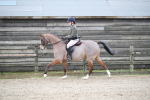 SBM_004666