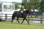 SBM_12913