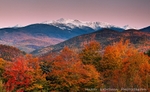 White Mountain Splendor