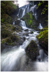 Crawfordsburn Waterfall (IMG0754)