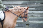SBM_006006